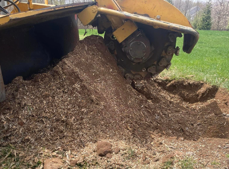 Stump Grinding Stump Removal Stump Grinding Stump Removal