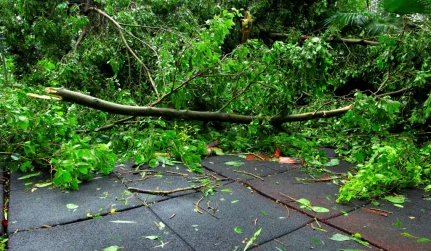 storm damage in a commercial property